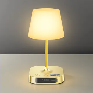 Anordsem LED Akku Tischlampe Kabellos: 8000 mAh Aufladbar Touch Dimmbar Nachttischlampe mit USB A+C - Moderne Nachtlampe für Wohnzimmer Heimbüro - Dekolampe Geschenke für Familie Eltern [Gold]