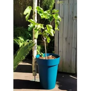 Blumentopf RIVIERA SOLEILLA, Kunststoff, H52 x D39 cm, Blau - Bunt