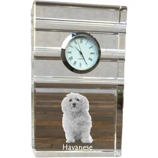 Havaneser, Bichon Havanais, Bichón Habanero - Glasuhr mit Foto, Foto eines Hundes im Kristall, personalisierte Tischuhr für das Büro der Marke Art-Dog