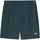 Tad 7 Woven Short Grün S