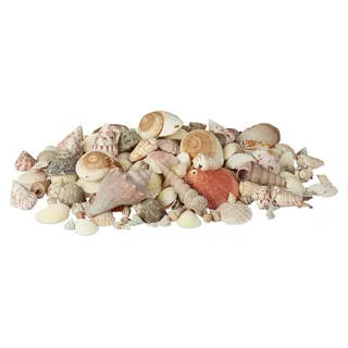 Relaxdays Muschel Deko im Set, XL-Mix mit großen Meeresschnecken, Herzmuscheln, maritime Tischdeko zum Basteln 2kg, bunt - Beige