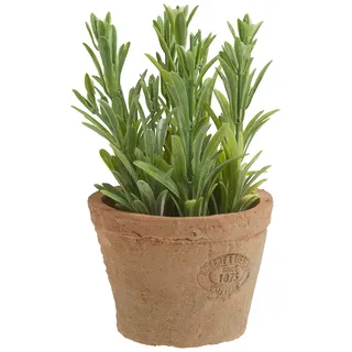 Esschert's Design AH011 Kleine künstliche Pflanze in Terrakotta-Topf im Antik-Stil, Rosmarin