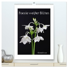Poesie weißer Blüten (hochwertiger Premium Wandkalender 2024 DIN A2 hoch), Kunstdruck in Hochglanz