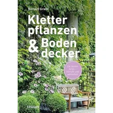 Bild Kletterpflanzen und Bodendecker