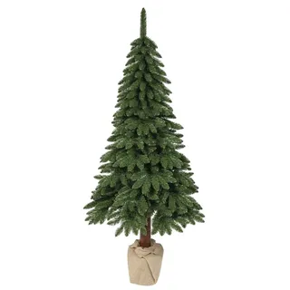 Everlands Tanne Kiefer Tora