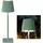 LED Tischlampe Grün