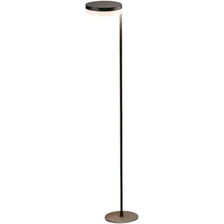 V-Tac Solar LED-Poller-Außenleuchte Kunststoff 2 W 120 lm schwarz