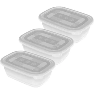 Rotho Frischhaltedose rechteckig transparent 19,5 x 13,5 x 10,0 cm 1 l 3-teiliges Set