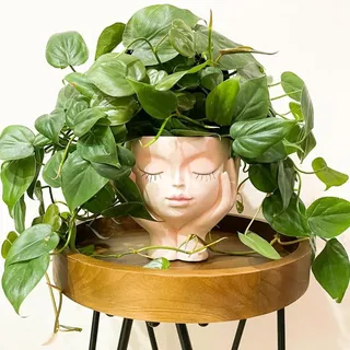 JOFAMY Blumentöpfe mit gesichtlichem Gesicht, Kunstharz, niedliches Gesicht, Blumentopf für Innen- und Außenbereich, mit Entwässerungsloch, geschlossene Augen, 13,5 cm Durchmesser, 16 cm hoch