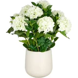 Creativ green Kunstpflanze »Hortensie« im eleganten Topf, beige