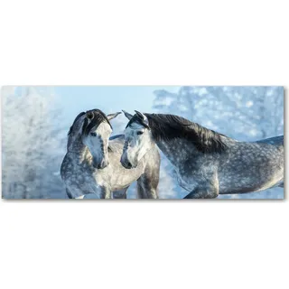 Tulup® Küchenrückwand Spritzschutz aus Glas -125x50 -Spritzschutz auf gehärtetes Glas Deko Tiere Graue Pferde Winter