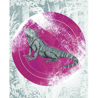 KOMAR Bild »Iguana Circle« Tiere 1 Stk. tlg. Wandbild zur Dekoration - ohne Rahmen, bunt