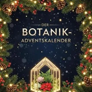 Botanik-Adventskalender-Buch mit 24 Türchen: DIY-Anleitungen & botanisches Wissen