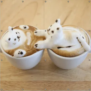 Wallario Outdoor-Poster für Garten oder Balkon, Motiv Süße Milchschaum Katzen auf Kaffee, in ca. 180 x 180 cm - Braun