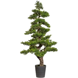 Creativ green »Bonsai Teeblatt«, grün,