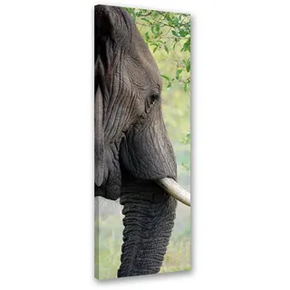 Feeby Wandbild elefant tier afrika , Grau , Textil , Tiere , Rechteckig , 30x90 cm , Bilder & Rahmen, Bilder, Leinwandbilder