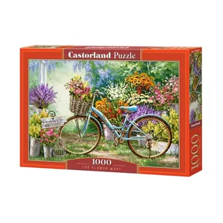 Castorland C-103898-2, 1000 Stück(e), Landschaft, 9 Jahr(e)