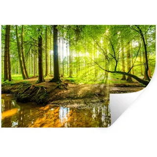 MuchoWow Wandtattoo Wald - Landschaft - Wasser - Bäume - Sonne - Grün - Natur 60x40 cm , Kunststoff , 60x40x0.1 cm , Tapeten & Wandverkleidungen, Wandtattoos & Sticker