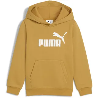 Puma Hoodie Gold 110