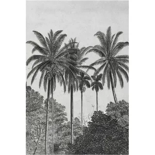 Art for the home Fototapete Palmen 300 x 200 cm