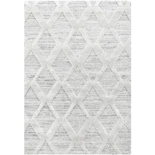 Ayyildiz Webteppich »PISA Grau ca. 240x340cm