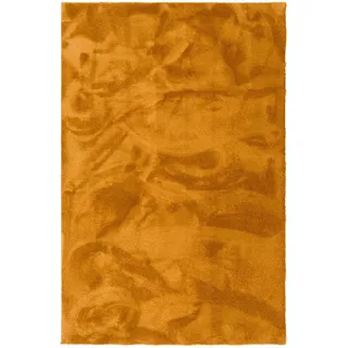 Snapstyle Teppich, Super Soft Hochflorteppich, Livorno (200 x 300 cm,