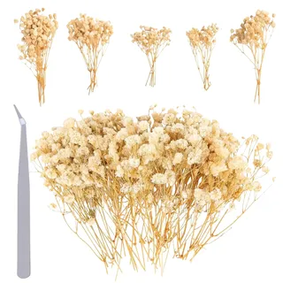 Schleierkraut Getrocknet Schleierkraut Künstlich, 100 Stück Getrocknetes Schleierkraut Weiß Trockenblumen Zum Basteln, Für DIY Hochzeitsdekoration Heimdeko Handwerk Partydekoration, Mit Pinzette