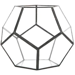 HERCHR Glas Terranium Pflanzer Luft Fleischfressende Sukkulenten Pflanzen Blumentopf FüR Erwachsene Live Moss Geometric Landscape Decoration