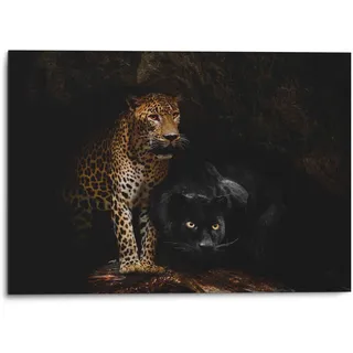 Reinders! Wandbild »Aluminium Wandbild Raubtiere Panther - Cougar - Katzen - Höhle«, Wildtiere, (1 St.) Reinders! schwarz