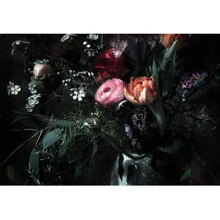 KOMAR Fototapete "Still Life - Größe 368 x 254 cm | Fsc
