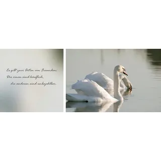 Leinwandbild QUEENCE "Freunde", weiß (farbe bild(er): weiß), B:100cm H:40cm T:2cm, Canvas, Holzrahmen, Bilder, Leinwandbild, Premium-Leinwandstoff, Handarbeit aus Deutschland, Zitat, 2er Set