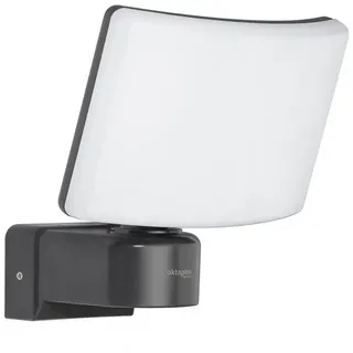 Oktaplex lighting Oktaplex LED Außenstrahler Cali 30W | Wand Strahler IP65 3000K warmweiß | Flutlicht anthrazit