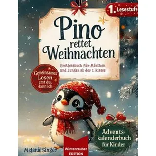 Adventskalender Buch für Kinder
