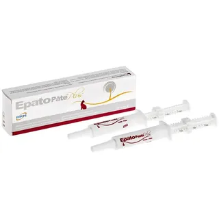 ICF Epato Plus Paste 2 x 15 ml