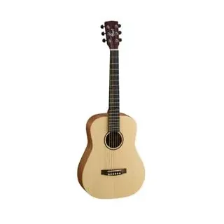 Cort Earth Mini OP W/BAG