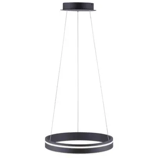 Paul Neuhaus Q-Vito Pendelleuchte Q- Vito (4000 lm)