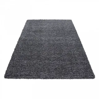 Dream Shaggyteppich 80 x 150 cm grau