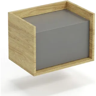 Halmar Niedrig eintüriger Schrank Möbius SZFN1D - natürliche Nussbaum / grau - Naturbelassen