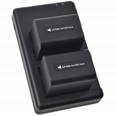 DSTE 2-Stück Ersatzakku Set NP-FV70 Batterie + Dual-Ladegerät USB kompatibel mit Sony HDR-CX210 HDR-CX220 HDR-CX230 HDR-CX260V HDR-CX290 HDR-CX300 HDR-CX305 HDR-CX330