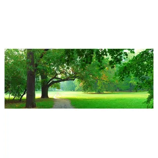 Tulup® Küchenrückwand Spritzschutz aus Glas -125x50 -Spritzschutz auf gehärtetes Glas Deko Blumen Pflanzen Park im Herbst