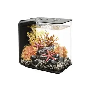 Oase 72029 biOrb FLOW 15 LED schwarz Aquarium 15 l mit LED-Beleuchtung