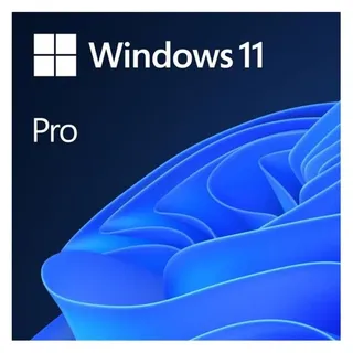 Microsoft Windows 11 Pro 64-Bit OEM FR
