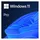 Windows 11 Pro 64-Bit OEM FR