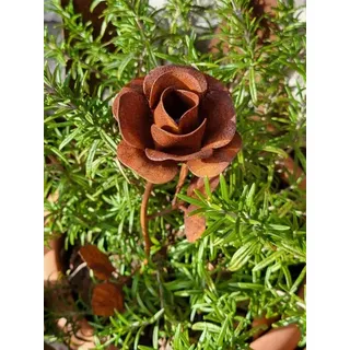 Edelrost Rose mit Stiel, klein