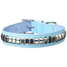 BBD Pet Products Gewölbtes Lederhalsband, Einheitsgröße, 1/4 x 18 bis 53 cm, Blau