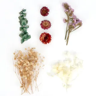 MOTIBACK Trockenblumen, Natürliche getrocknte Blumen,Trockenblumen Zum Basteln Mini Trockenblumen Set für DIY-Kerzenharz, Schmuck, Nägel, Scrapbooking-Bastelarbeiten (Beige)