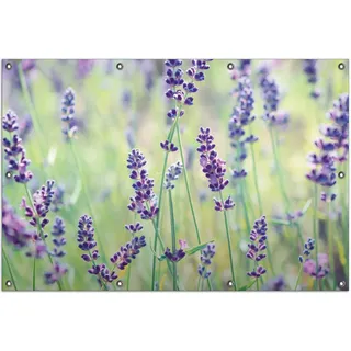 Wallario Outdoor-Poster für Garten oder Balkon, Motiv Lila Blumenfreude - Violette Pflanzen auf der Wiese, in ca. 100 x 150 cm - Grün