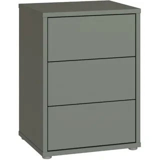 Forte Nachtschrank Alice Springs 49,8 x 41,5 x 68,7 cm Salbei
