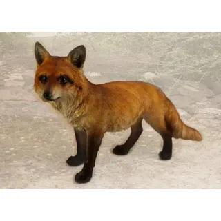 Gartenfigur Fuchs ca. 52cm stehend 8946 Haus Garten lebensecht Figur (Gr. Lebensgroß) - mehrfarbig - Lebensgroß