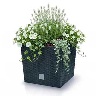 Prosperplast Blumentopf Blumenkübel Anthrazit mit Pflanzeinsatz, Kunststoff